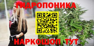 винт Гусь-Хрустальный