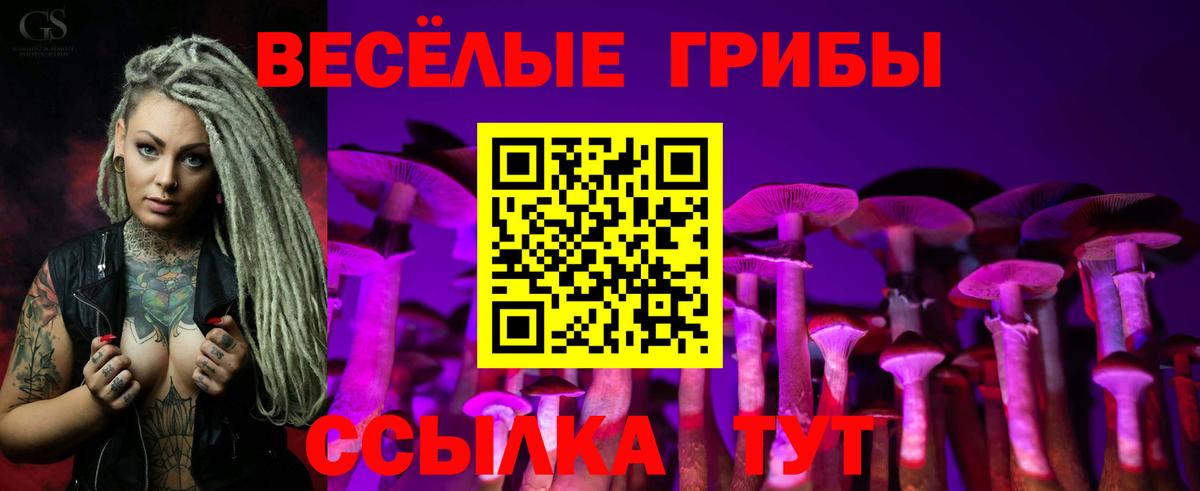 продажа наркотиков  Псилоцибиновые грибы GOLDEN TEACHER  Вход с VPN  Медногорск  Псилоцибиновые грибы Psilocybine cubensis 